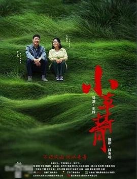 《小草青青》免费观看电视剧在线观看完整版高清