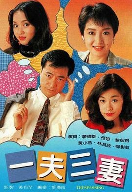 美剧《一夫三妻》第一季在线播放-在线观看